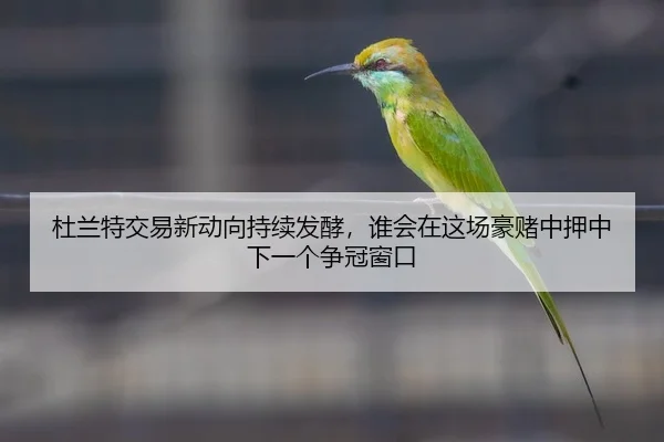 du-lan-te-jiao-yi-xin-dong-xiang-chi-xu-fa-jiao-shui-hui-zai-zhe-chang-hao-du-zhong-ya-zhong-xia-yi-ge-zheng-guan-3-218.jpg